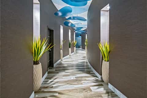 Modern hallway with gray walls, wooden flooring, yellow plants, and blue skylight ceiling panels