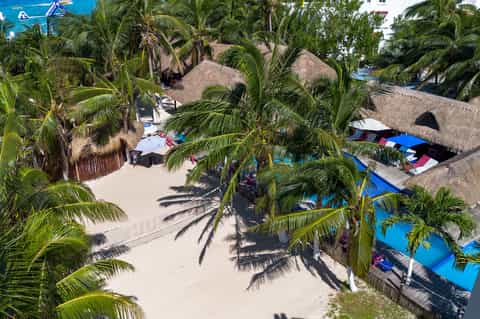 Tropical beach resort with palm trees, thatched-roof cabanas, and turquoise pool area