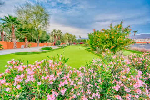 Manicured lawn with pink flowering shrubs, palm trees, and distant water views