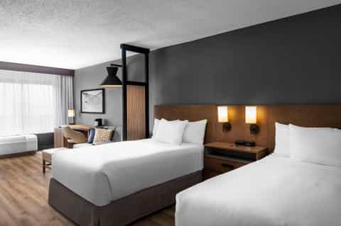 Contemporary hotel bedroom with two queen beds, dark accent wall, and modern lighting