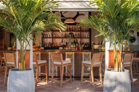 Outdoor bar area with tropical palm plants in planters, wooden bar seating, and cocktail setup