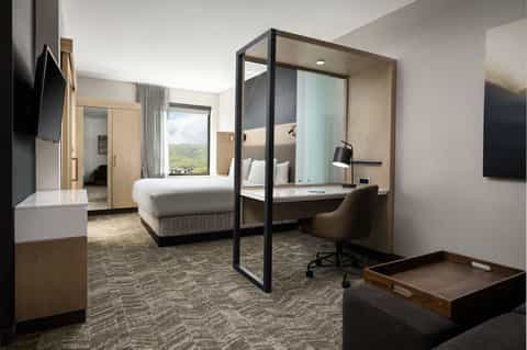Contemporary hotel room with canopy bed, glass shower enclosure, and mountain view