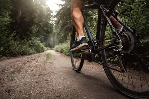 Mountain biker on forest trail with sunlight filtering through dense green trees