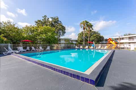 Bright blue rectangular swimming pool with lounge chairs, palm trees, and yellow waterslide