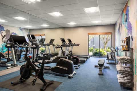 Fitness center with stationary bikes, treadmills, ellipticals, and colorful wall murals