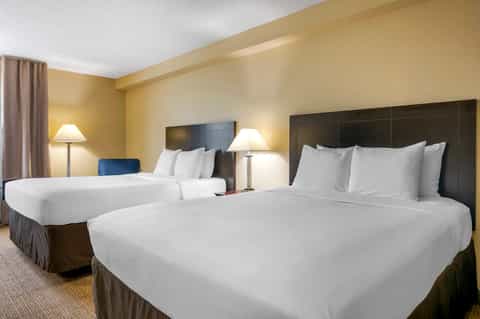 Hotel guest room with two queen beds, black headboards, warm lighting, and neutral décor