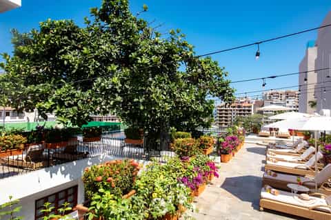 Resort terrace with lounge chairs, large shade tree, pink flowers, white umbrellas, and colorful building backdrop