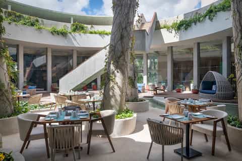 Outdoor dining area with round tables, wooden chairs, large tree, and modern architecture with glass doors