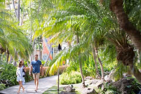 Couple walking on tropical garden pathway lined with palm trees and lush greenery