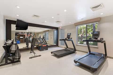 Bright fitness center with treadmills, stationary bikes, and dumbbells near windows