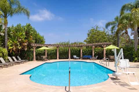 Resort swimming pool with lounge chairs and wooden pergola structure surrounded by palm trees