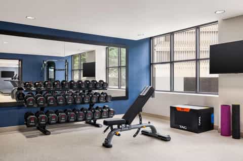 Contemporary fitness center with blue accent wall, dumbbell racks, and weight equipment