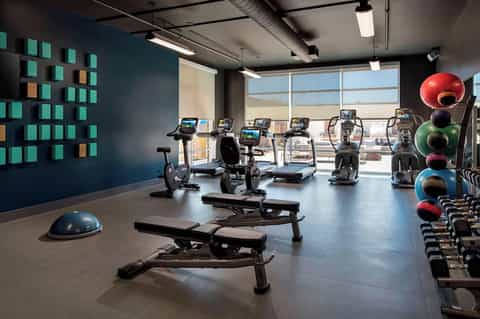 Modern fitness center with cardio equipment, weights, and colorful exercise balls