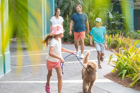 Family with dog walking on resort pathway with bright green accents and tropical vegetation