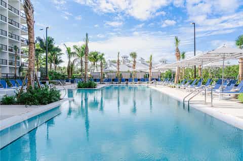 Large modern hotel pool with blue lounge chairs, palm trees, and white umbrellas