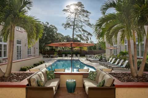 Resort swimming pool lined with palm trees, umbrellas, and lounge chairs between modern buildings