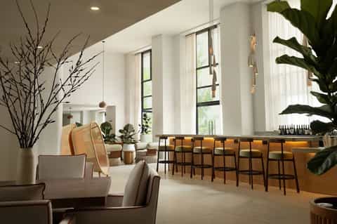 Contemporary lounge with floor-to-ceiling windows, hanging plants, wooden bar seating, and natural light