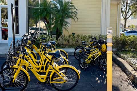 Row of bright yellow rental bikes parked outside a resort building entrance