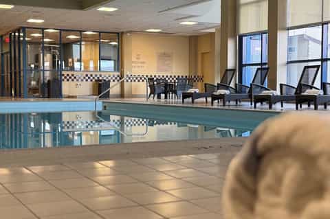 Indoor swimming pool with seating area, checkered tile accent wall, and large windows