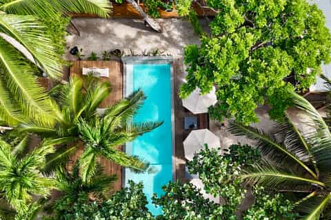 Overhead view of rectangular pool surrounded by palm trees, umbrellas, and wooden decking