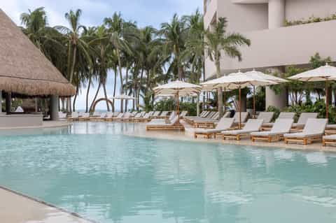Beachfront resort pool with palm trees, lounge chairs, umbrellas, and tropical landscape views