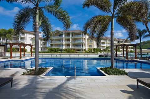 Resort pool surrounded by palm trees with white waterfront buildings in background