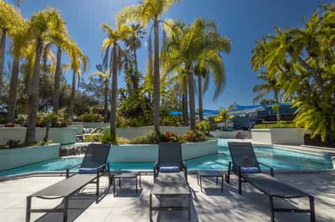 Contemporary pool area with tall palm trees, blue water, and lounge chairs