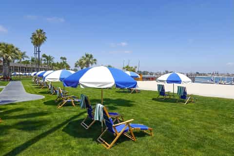 Waterfront lawn with blue and white umbrellas, lounge chairs, palm trees, and yacht harbor view