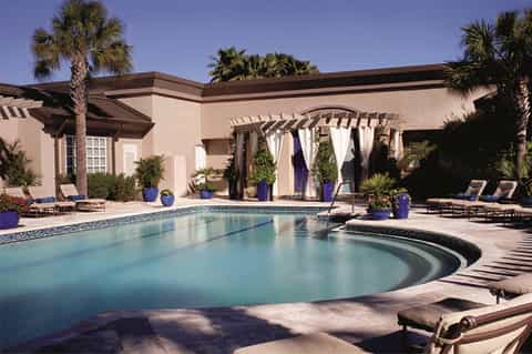 Curved pool with pergola, palm trees, blue planters, and modern lounge furniture