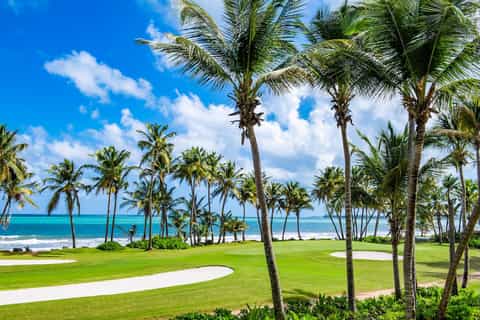 Beachfront golf course with palm trees and turquoise ocean backdrop