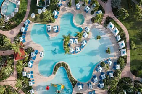 Aerial view of large curved resort pool with sun loungers, white umbrellas, and surrounding palm trees