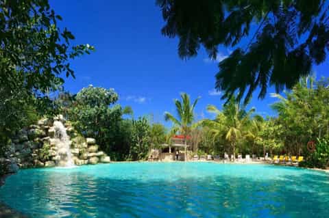 Natural spring pool surrounded by lush vegetation and palm trees in tropical setting