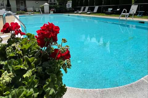 Community swimming pool with crystal-clear turquoise water and red flowers in foreground