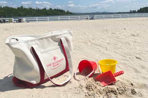 Beach bag and toys on sandy shore with lake view, dock railing, and forested landscape in background