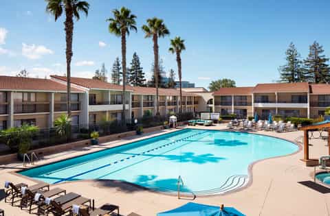 Resort pool with lane markings surrounded by palm trees and multi-story residential buildings