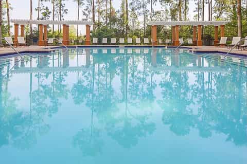 Outdoor resort pool with wooden pergola, lounge chairs, and forest reflection