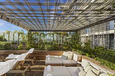 Rooftop lounge with pergola shade structure, lounge seating, climbing vines, and city skyline