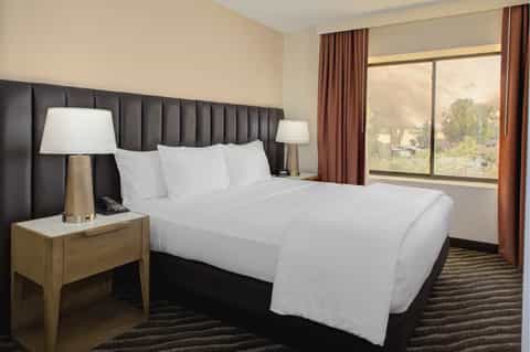 Upscale hotel bedroom with dark headboard, white linens, wood nightstands, and large windows