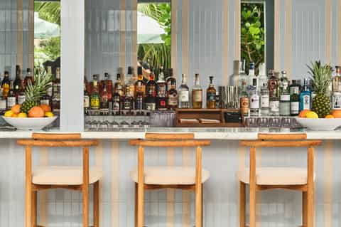 Tropical beach bar with wooden stools, spirits bottles, and palm tree views