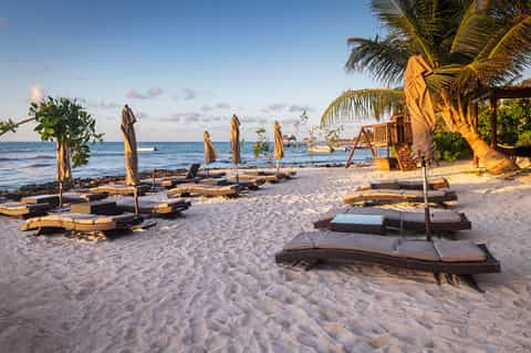Beachfront lounge area with umbrellas, woven sunbeds, ocean view, and tropical vegetation