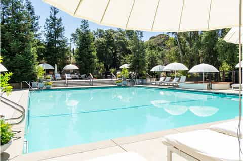 Resort outdoor pool surrounded by white umbrellas, lounge chairs, and tree-lined landscape