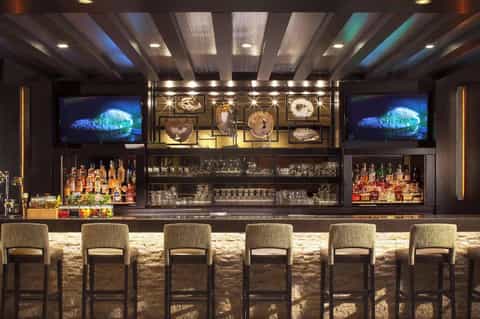 Sophisticated bar with stone accents, flat-screen displays, and premium liquor bottle collection