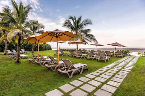Beachfront lounge area with palm trees, umbrellas, lounge chairs, and ocean views