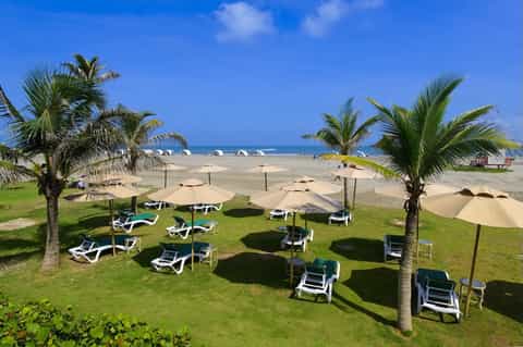 Beachfront resort lawn with palm trees, white lounge chairs under tan umbrellas overlooking ocean