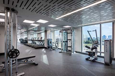High-rise fitness center with cardio equipment, weights, and panoramic city skyline views through windows