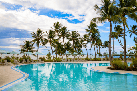 Tropical resort pool with palm trees and turquoise water at sunset