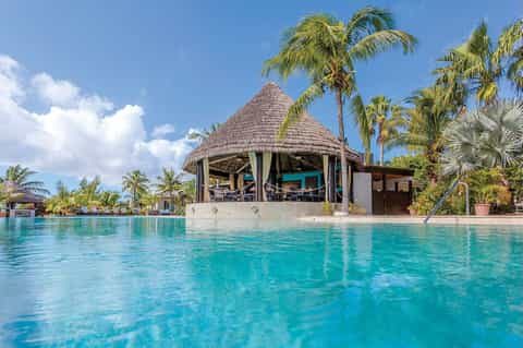 Tropical resort pool with thatched roof cabana and palm trees under blue sky