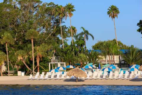 Beach resort grounds with palm trees, blue and white umbrellas, lounge chairs, and waterfront