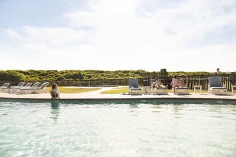 Resort infinity pool overlooking natural landscape with lounge chairs and guests relaxing