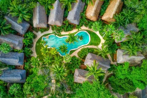 Aerial view of resort pool surrounded by palm trees and thatched bungalows